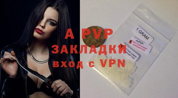 ПСИЛОЦИБИНОВЫЕ ГРИБЫ Белокуриха