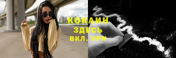 ПСИЛОЦИБИНОВЫЕ ГРИБЫ Белокуриха